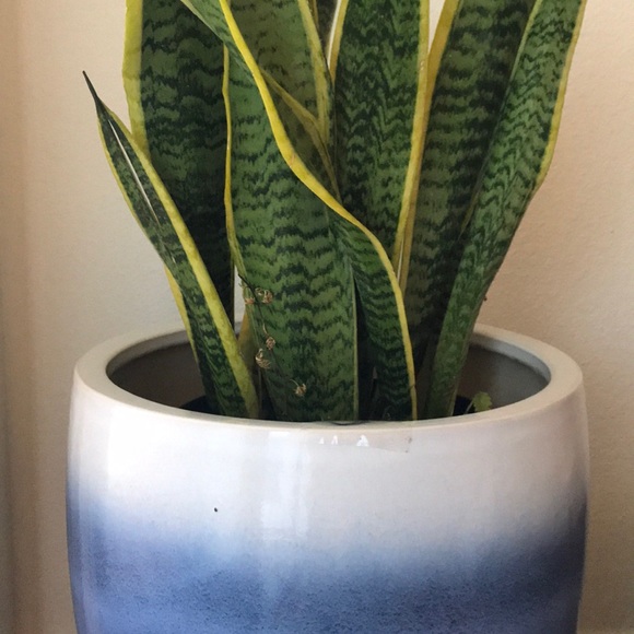 Meet your Posher - Picture 1 of 1